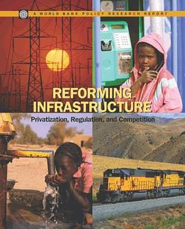 Reforming Infrastructure pdf epub mobi 电子书 下载