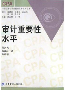 审计重要性水平 pdf epub mobi 电子书 下载