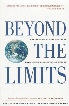 Beyond the Limits pdf epub mobi 电子书 下载