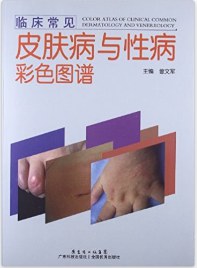 9787535962591 pdf epub mobi 下载