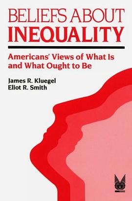 Beliefs About Inequality pdf epub mobi 电子书 下载