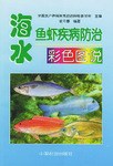 海水鱼虾疾病防治彩色图说 pdf epub mobi 电子书 下载