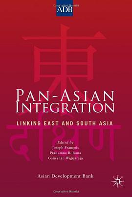 Pan-Asian Integration pdf epub mobi 电子书 下载