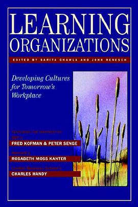 Learning Organizations pdf epub mobi 下载