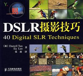 DSLR摄影技巧 pdf epub mobi 电子书 下载