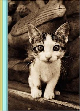 Kitten Smitten Journal pdf epub mobi 電子書 下載
