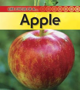 Apple pdf epub mobi 电子书 下载