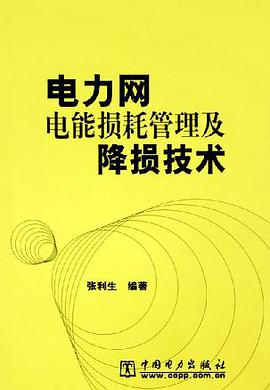 电力网电能损耗管理及降损技术 pdf epub mobi 电子书 下载