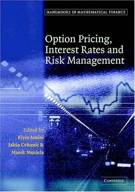 Handbooks in Mathematical Finance pdf epub mobi 电子书 下载