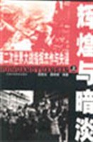 辉煌与暗淡 pdf epub mobi 电子书 下载