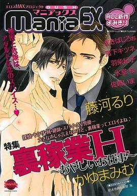 GUSHmaniaEX 特集 裏稼業H~あやしいお仕事~ pdf epub mobi 电子书 下载