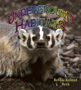 Underground Habitats pdf epub mobi 电子书 下载