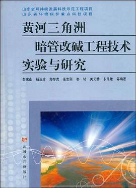 黄河三角洲暗管改碱工程技术实验与研究