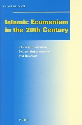 Islamic Ecumenism in the 20th Century pdf epub mobi 电子书 下载