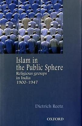 Islam in the Public Sphere pdf epub mobi 电子书 下载