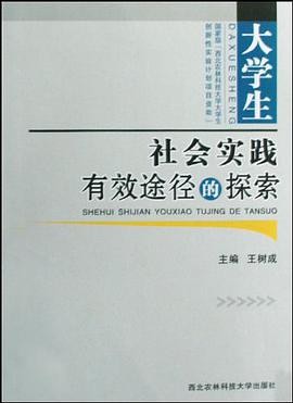 大学生社会实践有效途径的探索 pdf epub mobi 电子书 下载