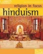 Hinduism (Religion in Focus) pdf epub mobi 电子书 下载