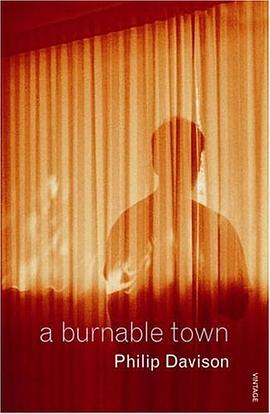A Burnable Town (Harry Fielding Mysteries) pdf epub mobi 电子书 下载