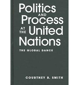 Politics And Process At The United Nations pdf epub mobi 电子书 下载