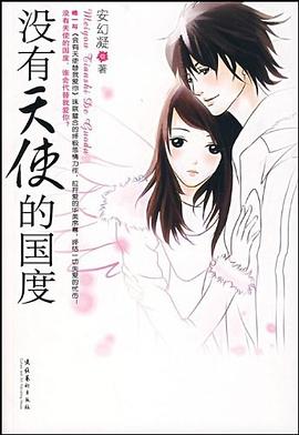 没有天使的国度 pdf epub mobi 电子书 下载