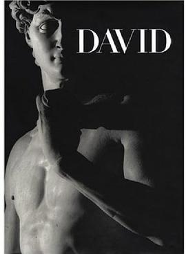 Michelangelo's David pdf epub mobi 電子書 下載
