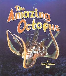 Amazing Octopus pdf epub mobi 电子书 下载