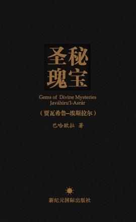 圣秘瑰宝 pdf epub mobi 电子书 下载