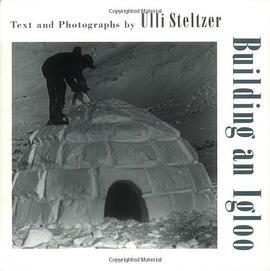 Building an Igloo pdf epub mobi 电子书 下载