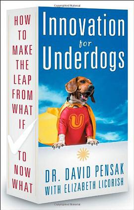 Innovation for Underdogs pdf epub mobi 电子书 下载