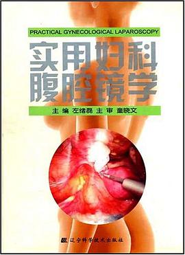 实用妇科腹腔镜学 pdf epub mobi 电子书 下载