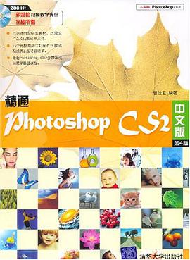 精通Photoshop CS2（中文版） pdf epub mobi 电子书 下载
