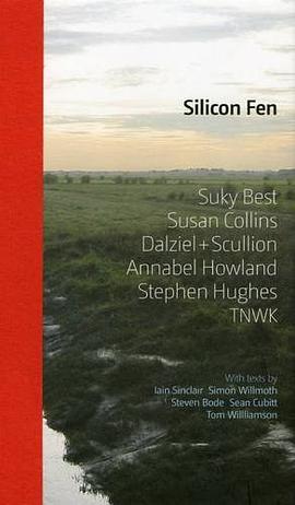 Silicon Fen pdf epub mobi 電子書 下載