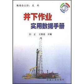 井下作业实用数据手册 pdf epub mobi 电子书 下载