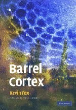 Barrel Cortex