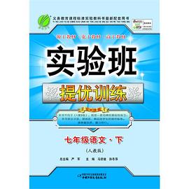 实验班提优训练（下） pdf epub mobi 电子书 下载