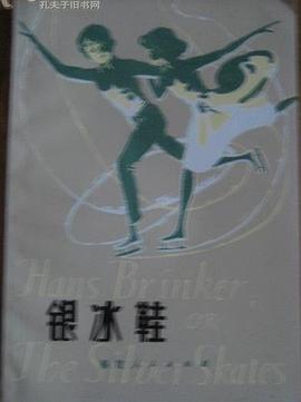 银冰鞋
