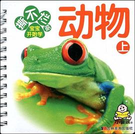撕不烂版宝宝开始学