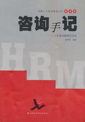 咨询手记 pdf epub mobi 电子书 下载