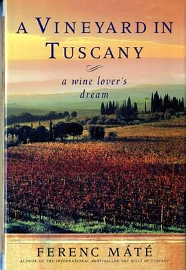 A Vineyard in Tuscany pdf epub mobi 電子書 下載