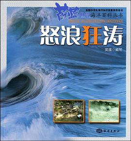 怒浪狂涛 pdf epub mobi 电子书 下载
