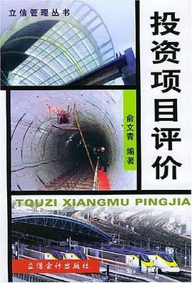 投资项目评价 pdf epub mobi 下载