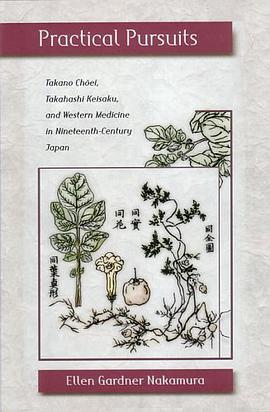 Practical Pursuits pdf epub mobi 电子书 下载