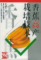 香蕉高产栽培技术