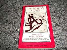 The Scarlet Letter pdf epub mobi 下载