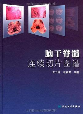脑干脊髓连续切片图谱