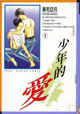 少年的爱 pdf epub mobi 电子书 下载