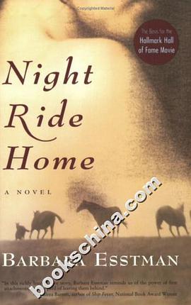 Night Ride Home夜车