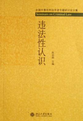 违法性认识 pdf epub mobi 电子书 下载