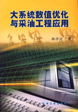 大系统数值优化与采油工程应用 pdf epub mobi 电子书 下载