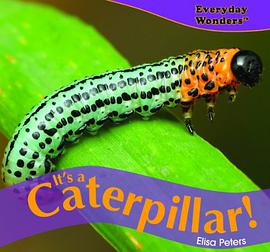 It's a Caterpillar! pdf epub mobi 电子书 下载